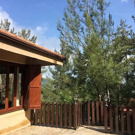 Lodge Kardama Hideaway