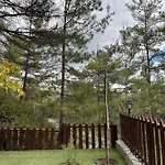 Lodge Kardama Hideaway
