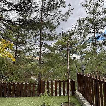 Lodge Kardama Hideaway