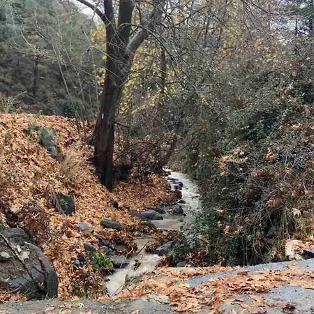 Lodge Kardama Hideaway