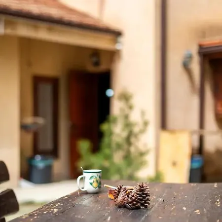 Lodge Kardama Hideaway *