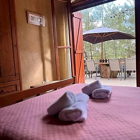 Kardama Hideaway אכסניה Kato Amiandos