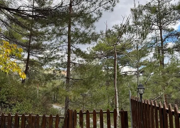 Lodge Kardama Hideaway