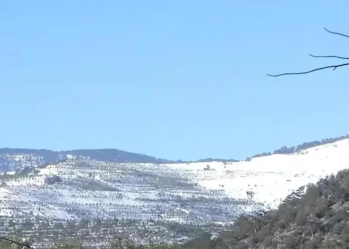 Lodge Kardama Hideaway *