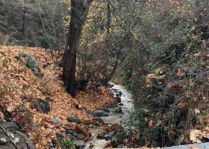 Lodge Kardama Hideaway